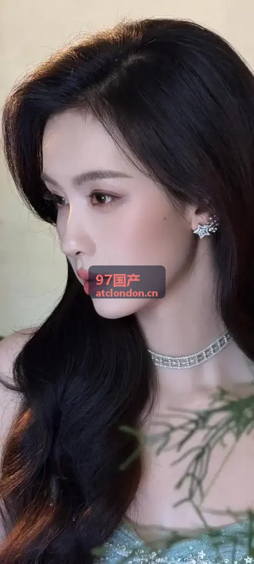 97国产永磁同步伺服驱控一体化模组
